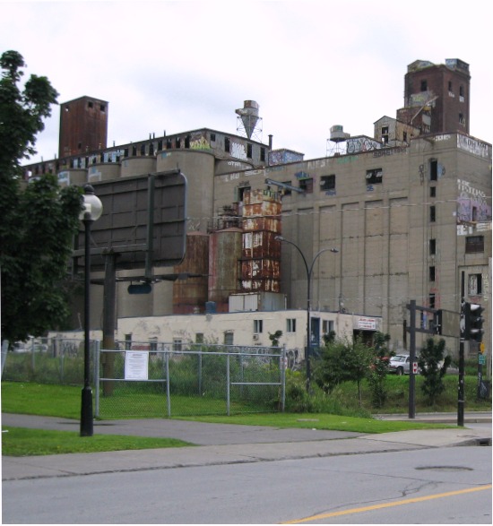 550x587 IMG_0052_550x587