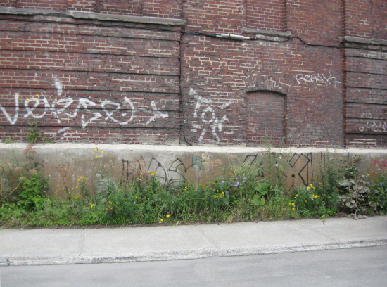 IMG_0057 IMG_0057_408