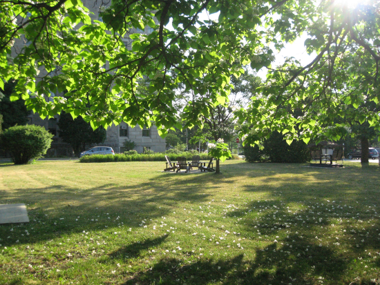 IMG_5082 550x413
