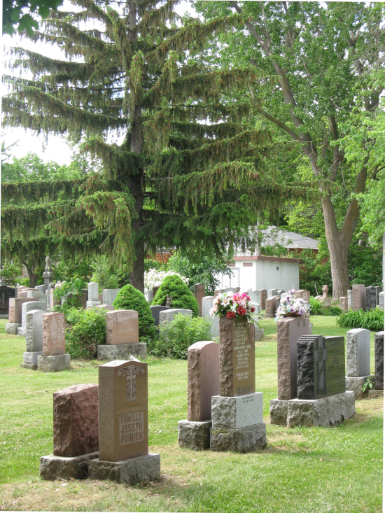 A Walk Through a Cemetery