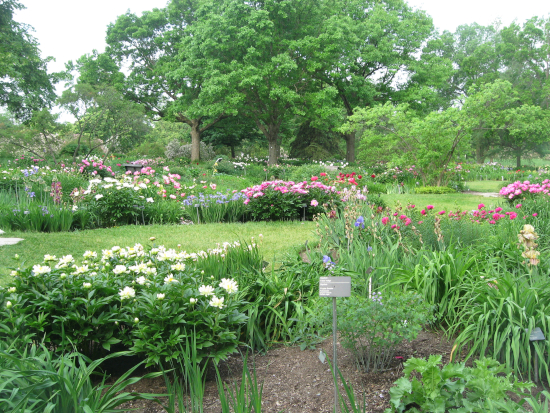 Landscape Garden 10